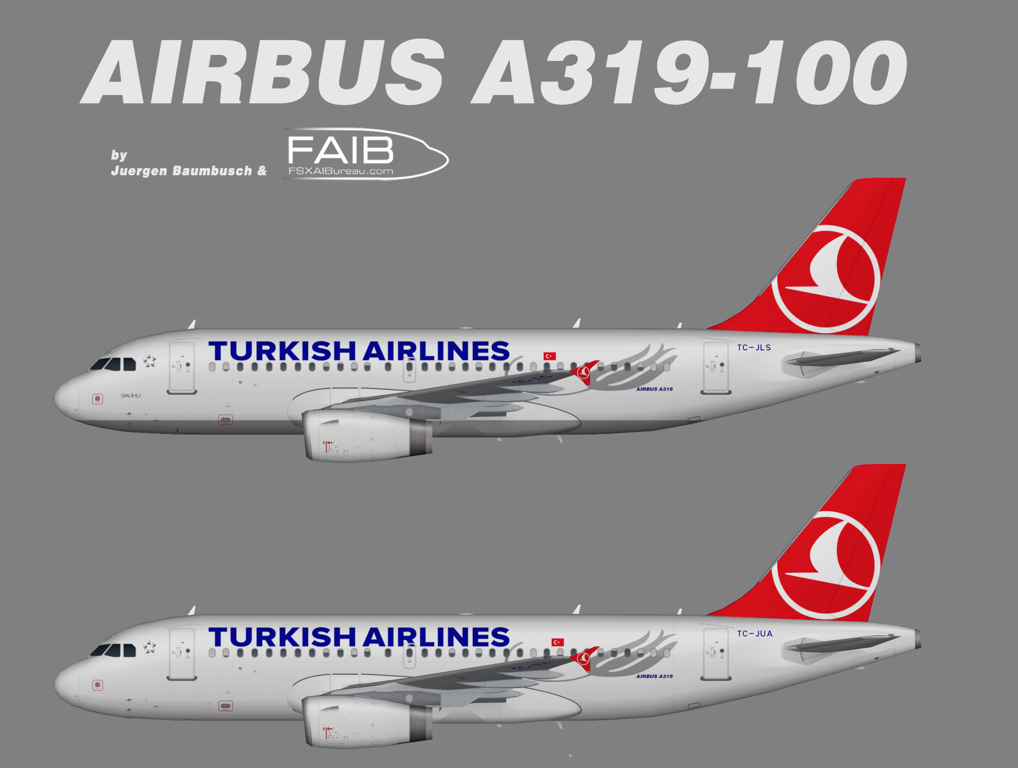 Airbus a319-100 Turkish Airlines