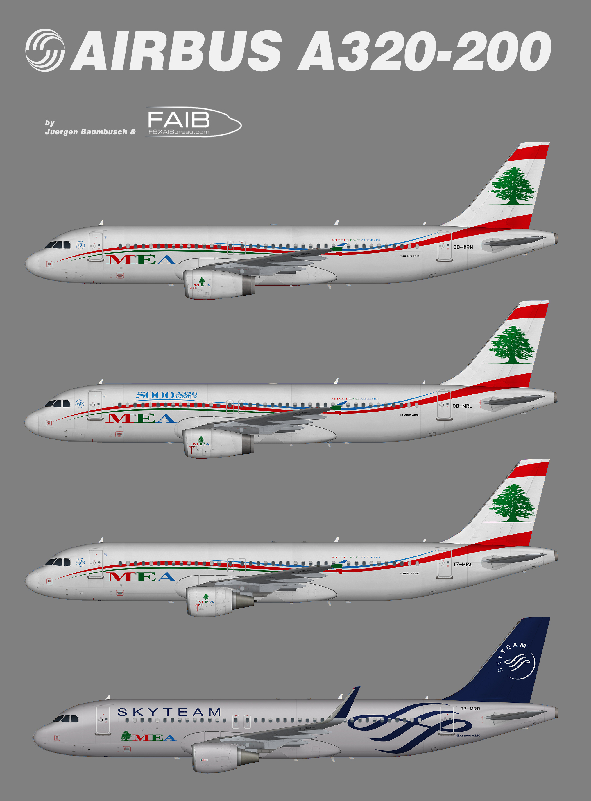 Middle East Airlines (MEA) Airbus A320-200 (representative fleet ...