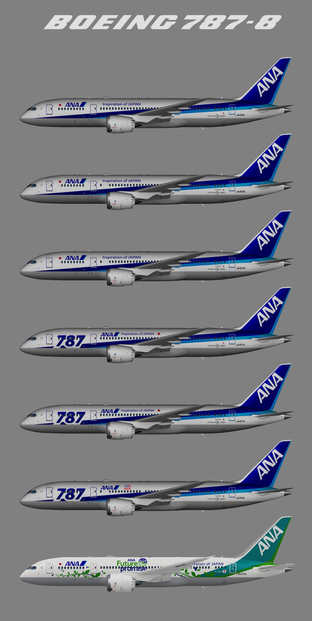 All Nippon Airways (ANA) Boeing 787-8 – Juergen's paint hangar