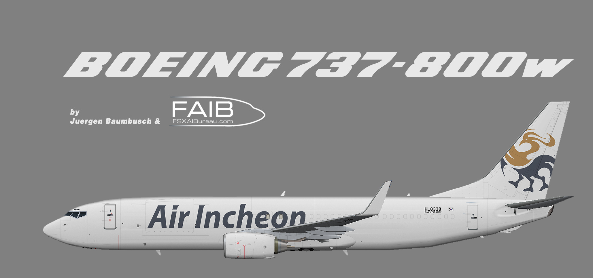 air incheon boeing 737-800(sf)